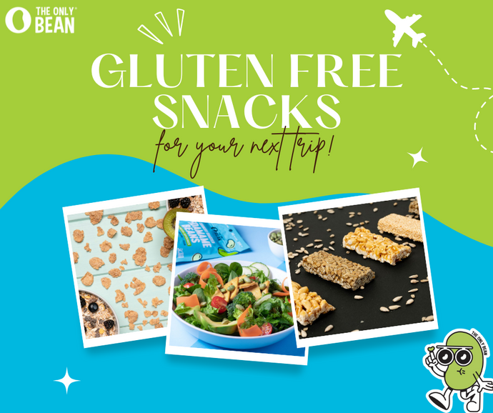 33 Gluten Free Snacks for Travel - Your Next Fun yet Healthy Trip!