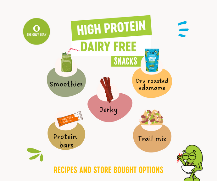 6 BEST High Protein Dairy Free Snacks - Recipes and Packaged