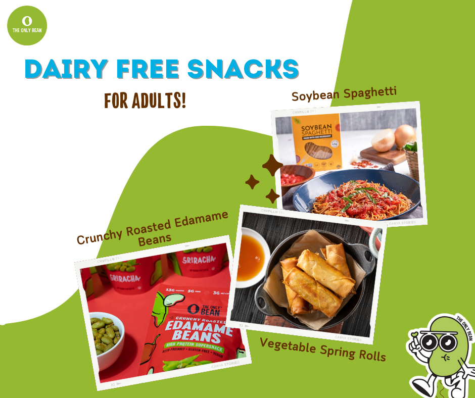 dairy free snacks for adults - storebought and recipes