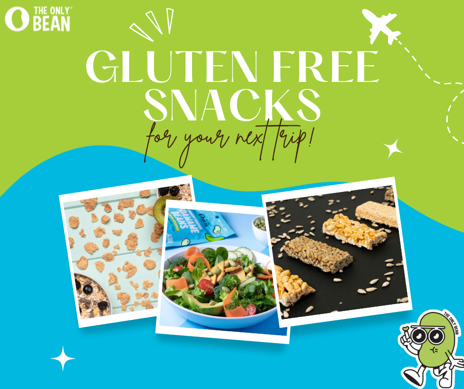 33 Gluten Free Snacks for Travel - Your Next Fun yet Healthy Trip!