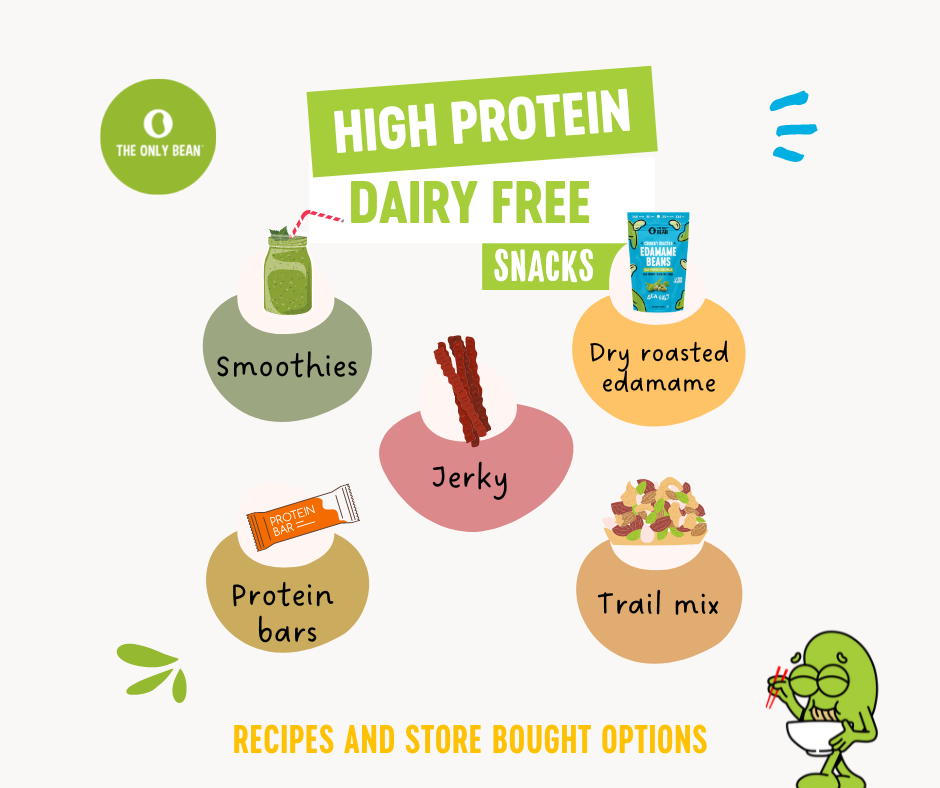 best high protein dairy free snacks