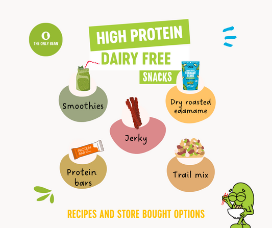 best high protein dairy free snacks